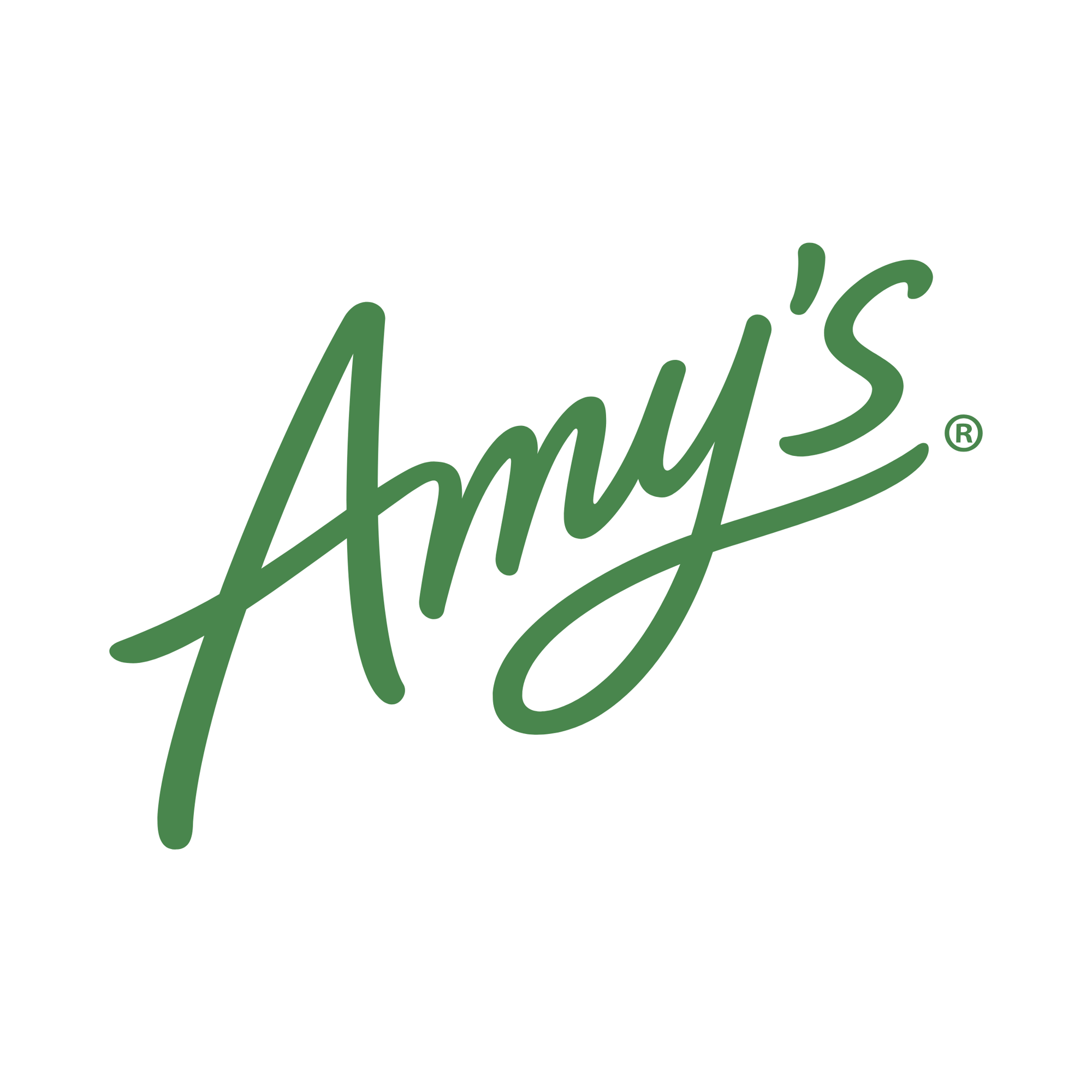 Amys Logo
